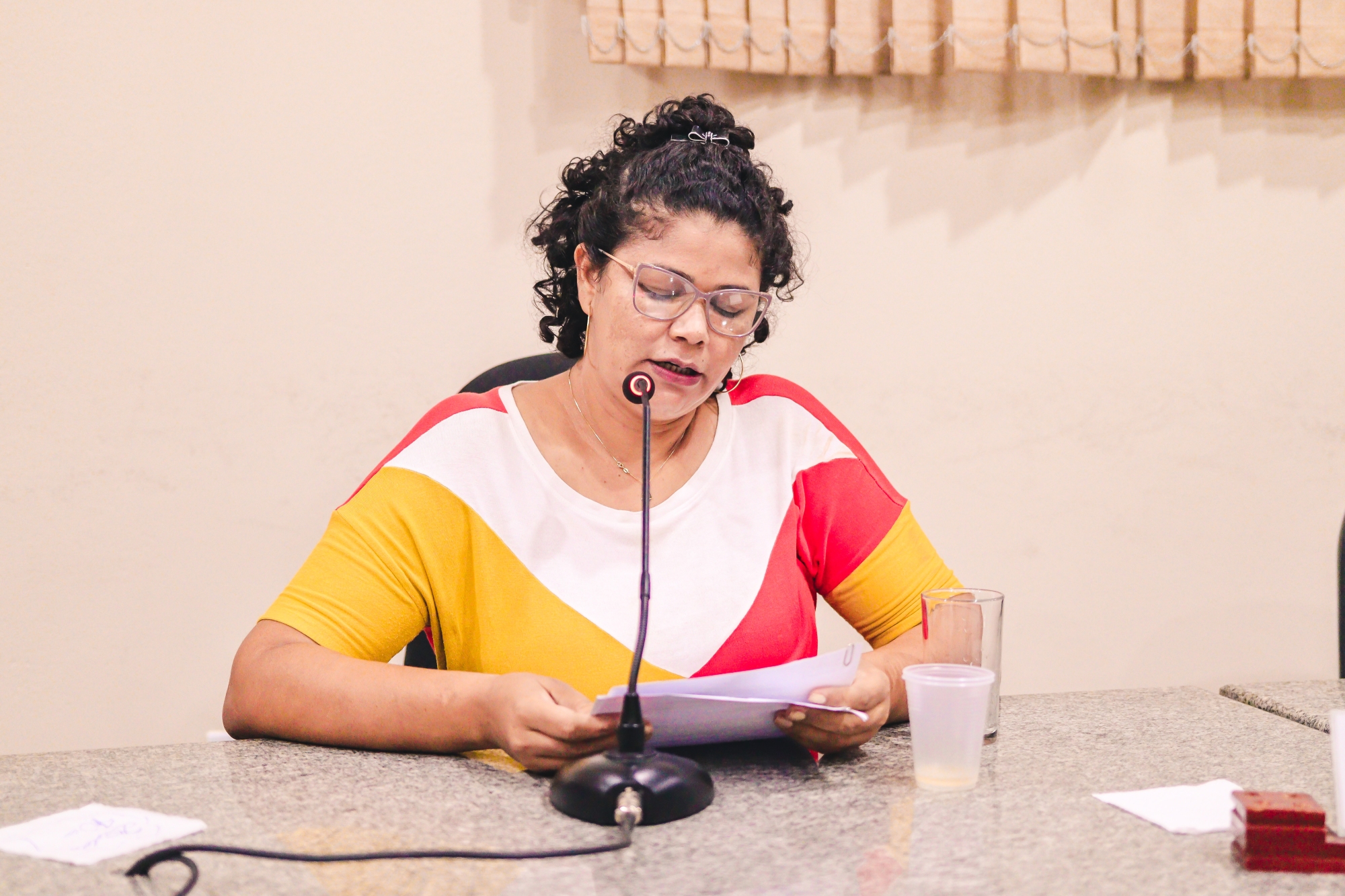 Sessão Ordinária da Câmara Municipal de Arapoema discute requerimentos de vereadora